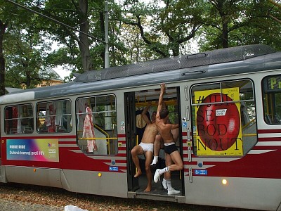 ro36yvnu19tg.jpg